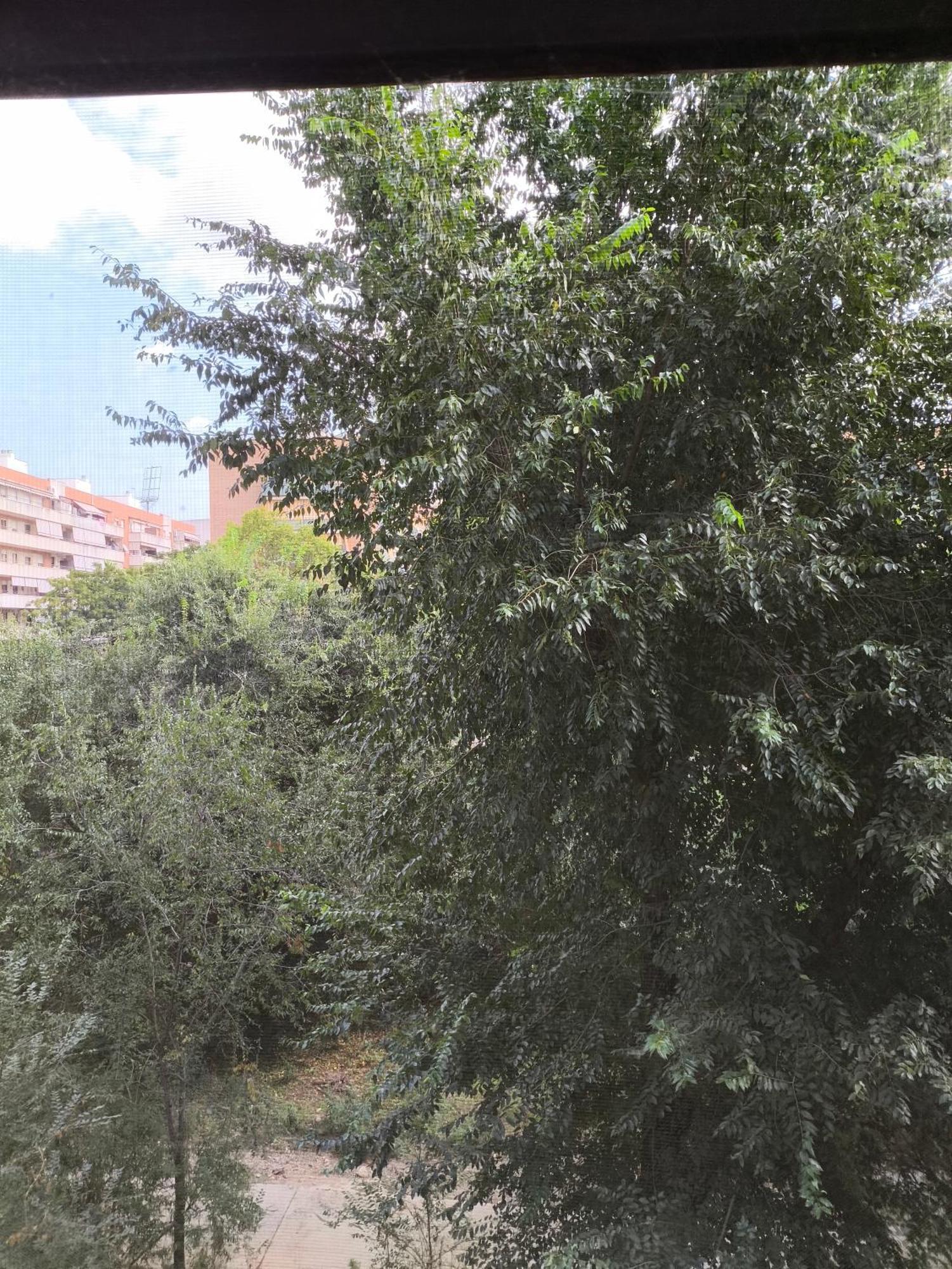 Habitacion Doble Con Bano Privado Y Desayuno Incluido 维拉德塞斯 外观 照片